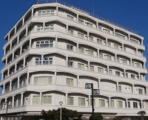 皆成病院
